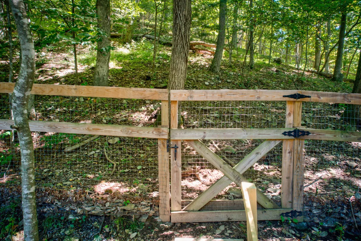 A serene exterior view showcasing a wooden gate that opens into a leafy, tree-filled area, evoking the feeling of stepping into a natural retreat. The ground is covered with leaves, and the dense trees hint at opportunities for discovery and wildlife spotting.